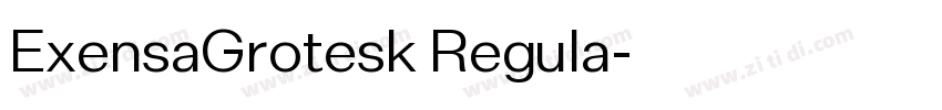 ExensaGrotesk Regula字体转换 ExensaGrotesk Regula字体转换
